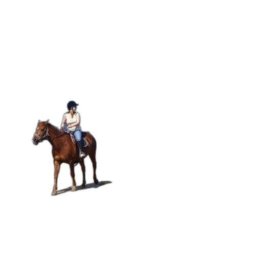 hat, staff, animal, crown transparent PNG cut-out