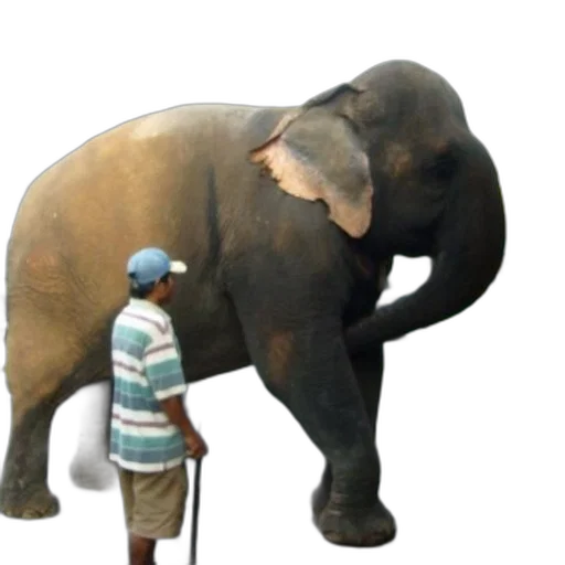 animal, staff, creature, 3d render transparent PNG cut-out