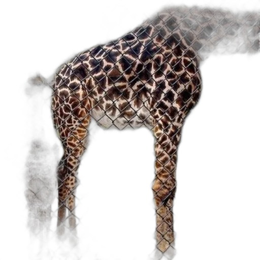 animal, creature, dragon, hair transparent PNG cut-out