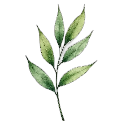 tree, staff, flower, food transparent PNG cut-out