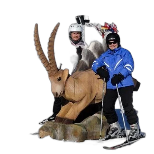 animal, snow, two, skiers transparent PNG cut-out