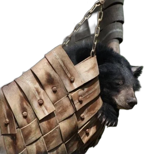 animal, jacket, weapon, dress transparent PNG cut-out
