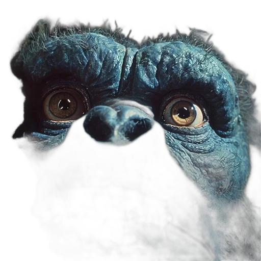 creature, animal, mask, face transparent PNG cut-out