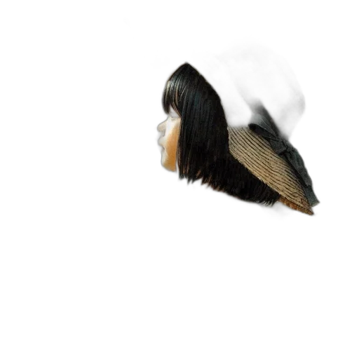 animal, hat, hair, creature transparent PNG cut-out