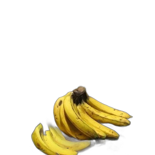 food, animal, hair, weapon transparent PNG cut-out