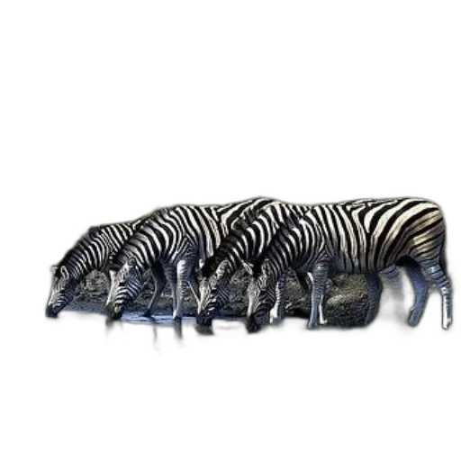 animal, furniture, jewelry, shoes transparent PNG cut-out