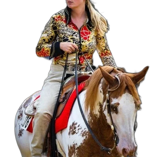 jacket, animal, staff, jewelry transparent PNG cut-out