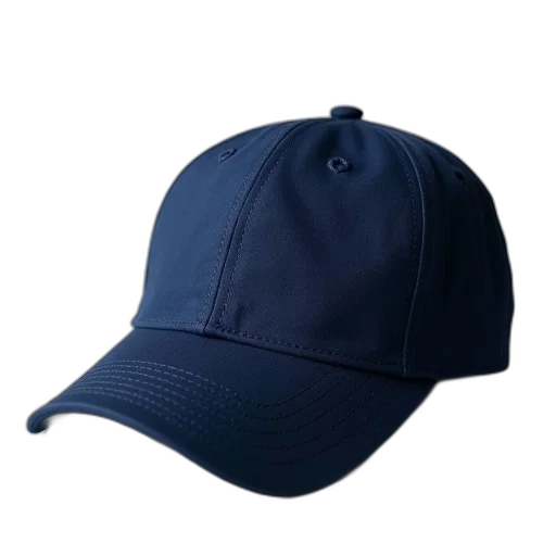 hat, crown, jacket, staff transparent PNG cut-out