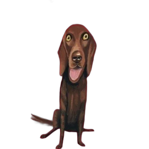 animal, staff, creature, face transparent PNG cut-out
