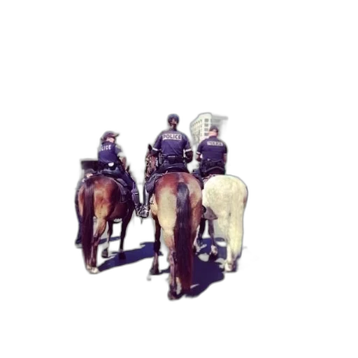 staff, animal, jacket, concept art transparent PNG cut-out