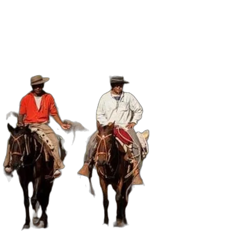 hat, staff, concept art, photorealistic transparent PNG cut-out