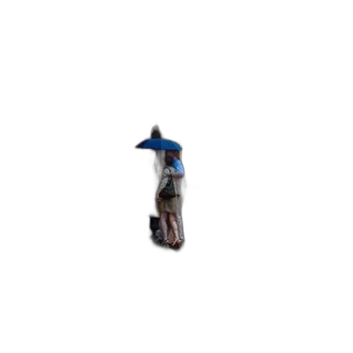 hat, umbrella, staff, bottle transparent PNG cut-out