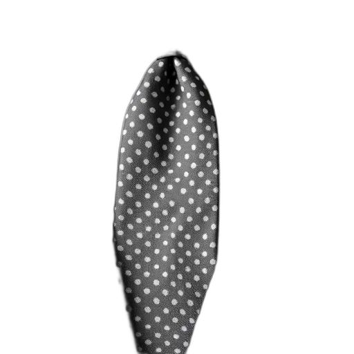 staff, umbrella, hat, jewelry transparent PNG cut-out