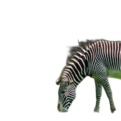 animal, creature, robot, weapon transparent PNG cut-out