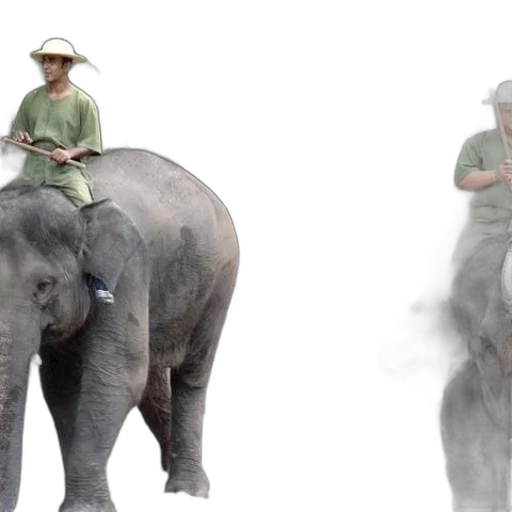 umbrella, animal, concept art, photorealistic transparent PNG cut-out