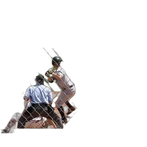 sword, weapon, staff, animal transparent PNG cut-out