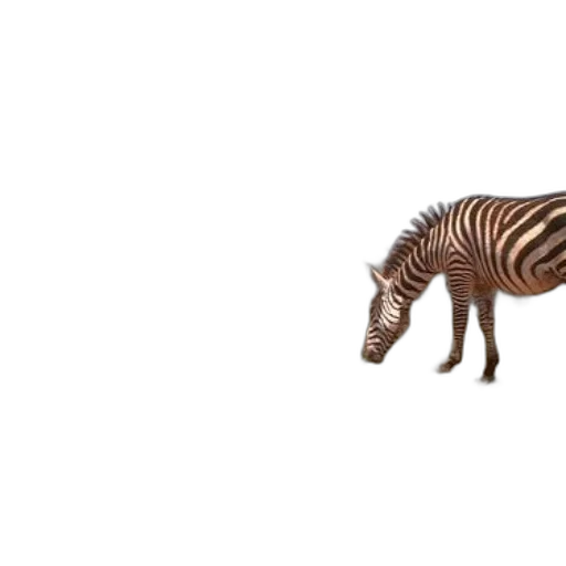 animal, creature, furniture, car transparent PNG cut-out