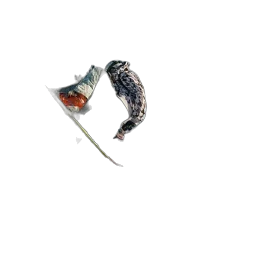 shoes, hat, jewelry, sword transparent PNG cut-out
