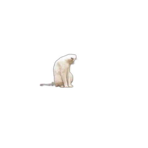 animal, staff, creature, hair transparent PNG cut-out