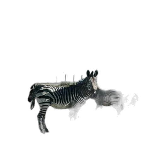 animal, creature, dragon, hair transparent PNG cut-out