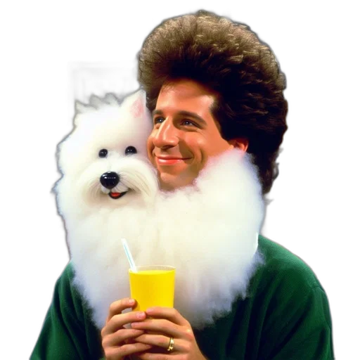 hair, animal, creature, face transparent PNG cut-out