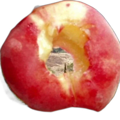food, crown, face, animal transparent PNG cut-out