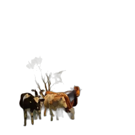animal, weapon, creature, staff transparent PNG cut-out