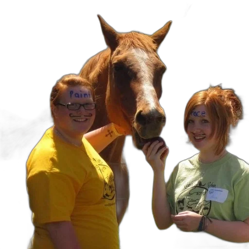staff, animal, hair, creature transparent PNG cut-out