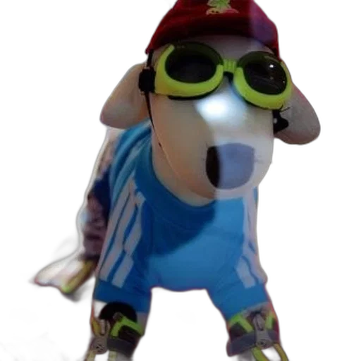 animal, hat, creature, mask transparent PNG cut-out