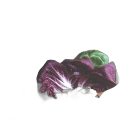 food, crown, flower, hat transparent PNG cut-out