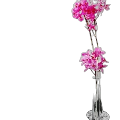 flower, staff, jewelry, crown transparent PNG cut-out