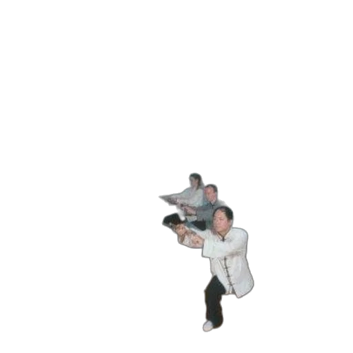 staff, weapon, robot, jacket transparent PNG cut-out