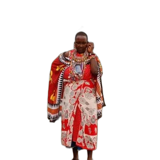 jacket, dress, jewelry, animal transparent PNG cut-out