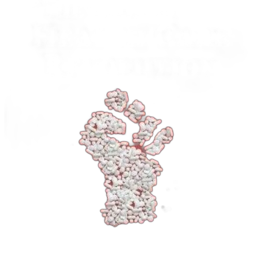 jewelry, crown, flower, furniture transparent PNG cut-out