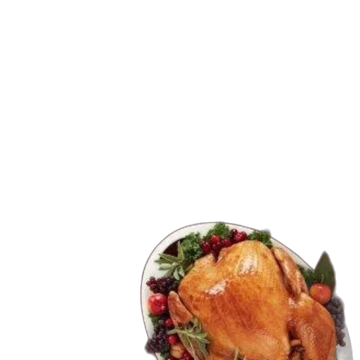 food, hat, animal, bottle transparent PNG cut-out