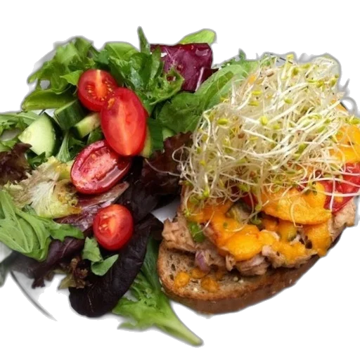 food, plate, sandwich, salad transparent PNG cut-out