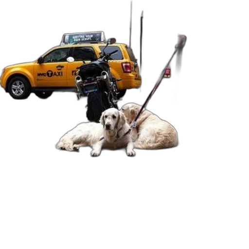 staff, animal, weapon, car transparent PNG cut-out