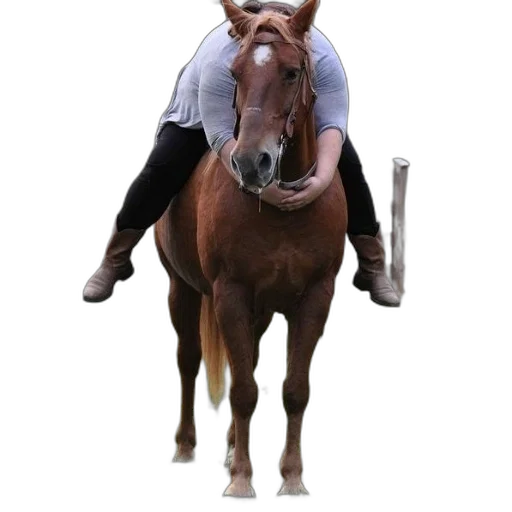 animal, creature, staff, weapon transparent PNG cut-out