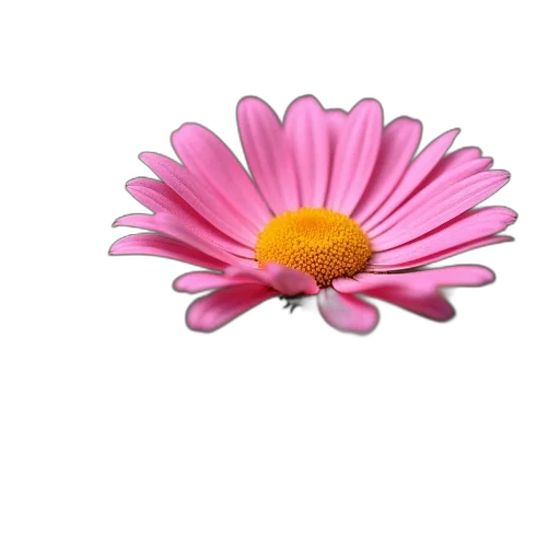 flower, jewelry, crown, staff transparent PNG cut-out