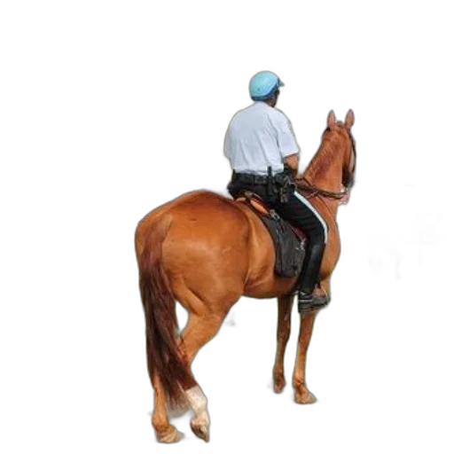 staff, animal, hat, jacket transparent PNG cut-out