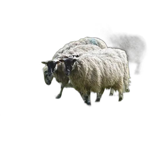 animal, creature, photorealistic, 3d render transparent PNG cut-out