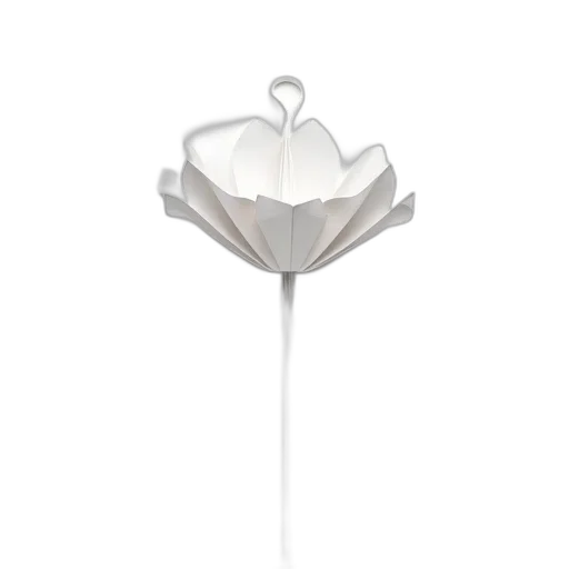 flower, crown, jewelry, umbrella transparent PNG cut-out