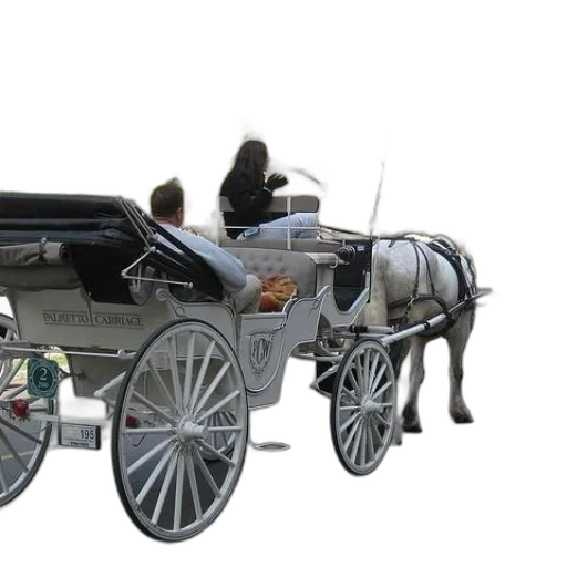 car, robot, furniture, animal transparent PNG cut-out