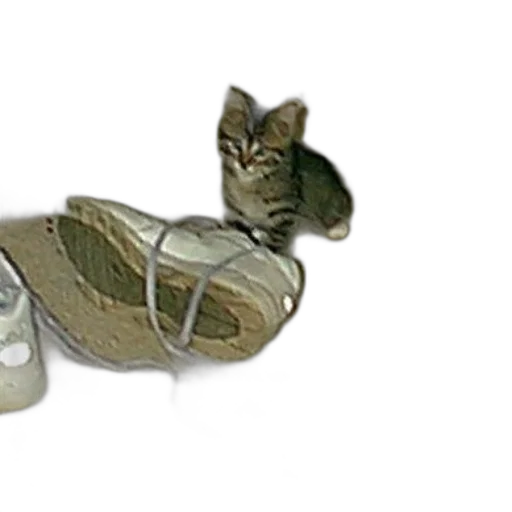 shoes, jewelry, 3d render, photorealistic transparent PNG cut-out