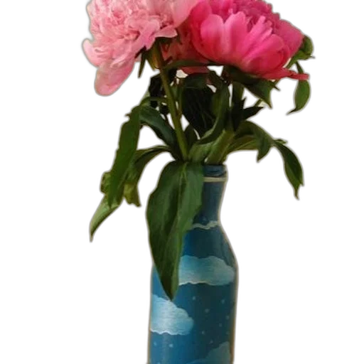 flower, bottle, crown, jewelry transparent PNG cut-out