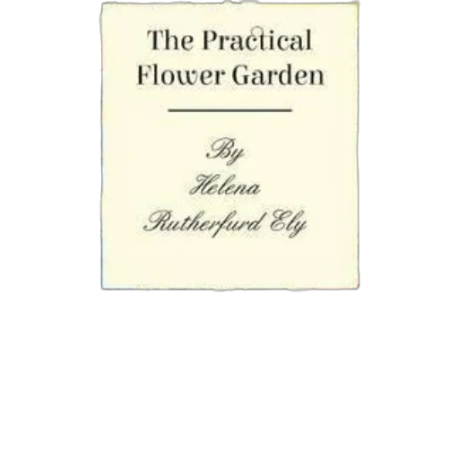 flower, practical, garden, helena transparent PNG cut-out