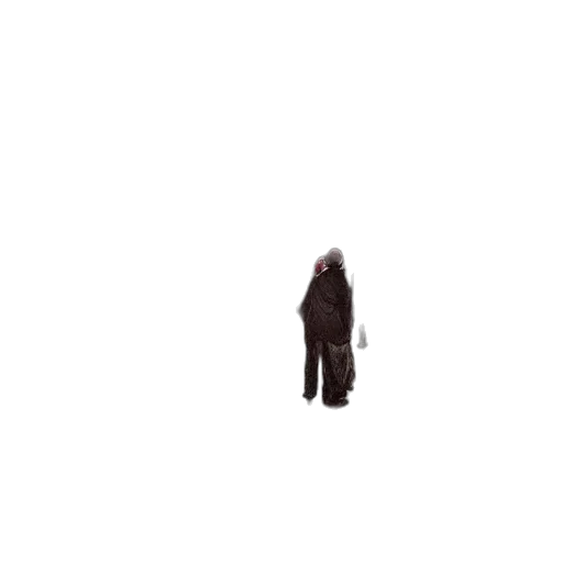 jacket, creature, dress, animal transparent PNG cut-out