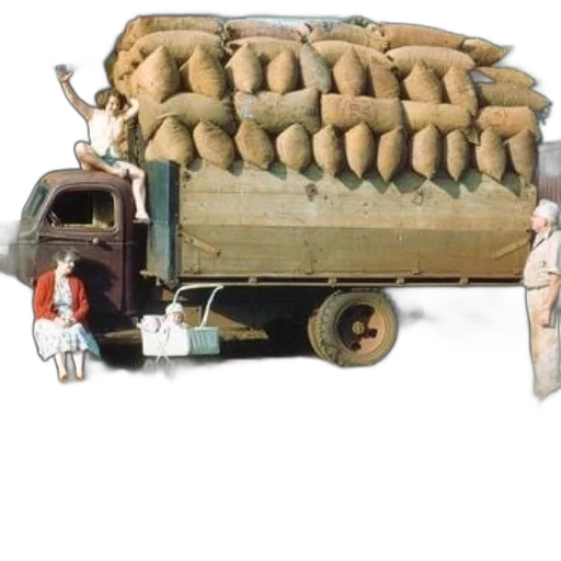 food, furniture, car, concept art transparent PNG cut-out
