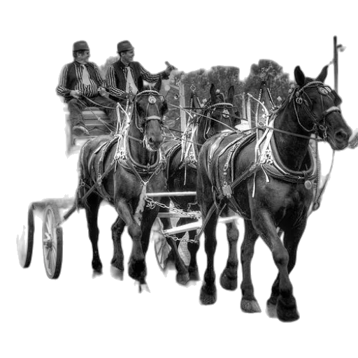 staff, animal, car, weapon transparent PNG cut-out
