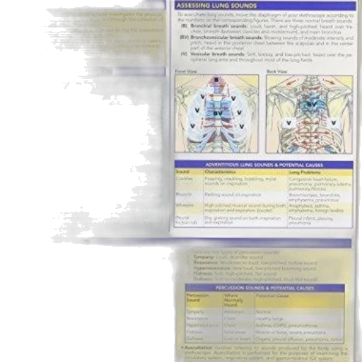 medical, reference, chart, titled transparent PNG cut-out